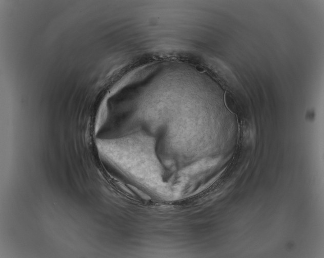 X0000090891060200708241957