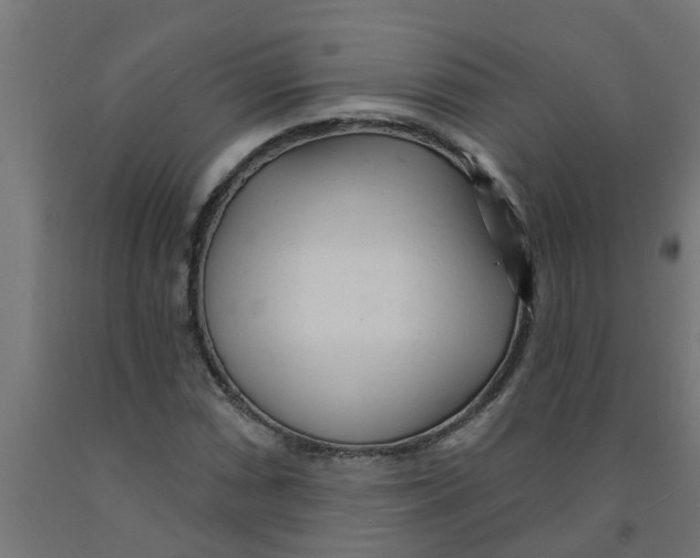 X0000090891066200708241957