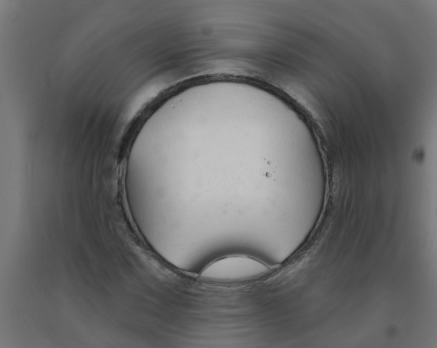 X0000090891067200708241957