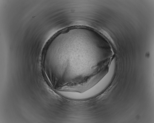 X0000090891068200708241957