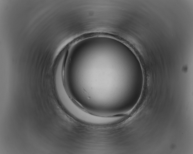 X0000090891069200708241957