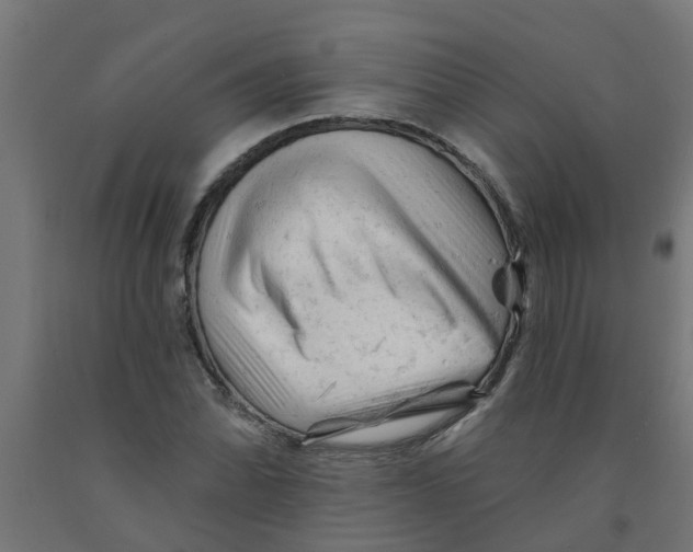 X0000090891070200708241957