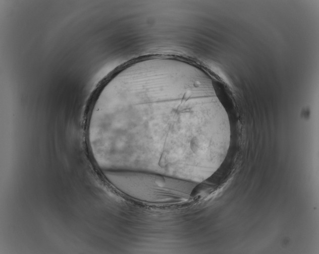 X0000090891071200708241957