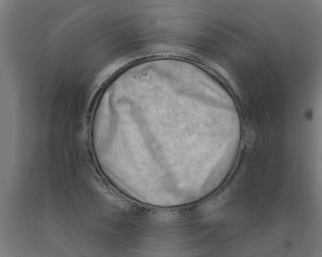 X0000090891074200708241957