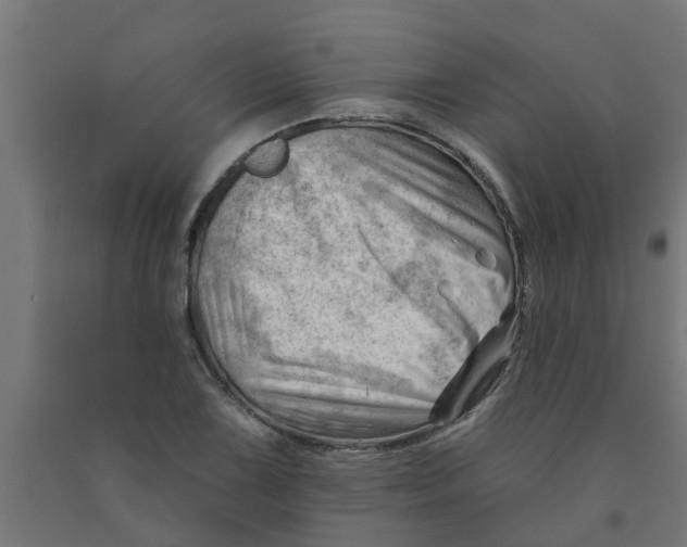 X0000090891075200708241957