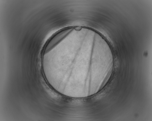 X0000090891078200708241957