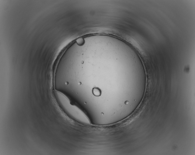 X0000090891079200708241957