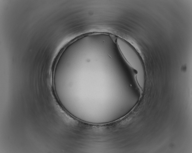 X0000090891080200708241957