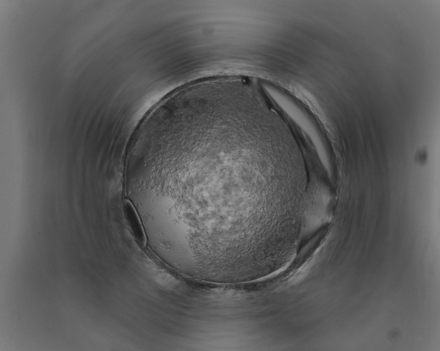 X0000090891081200708241956