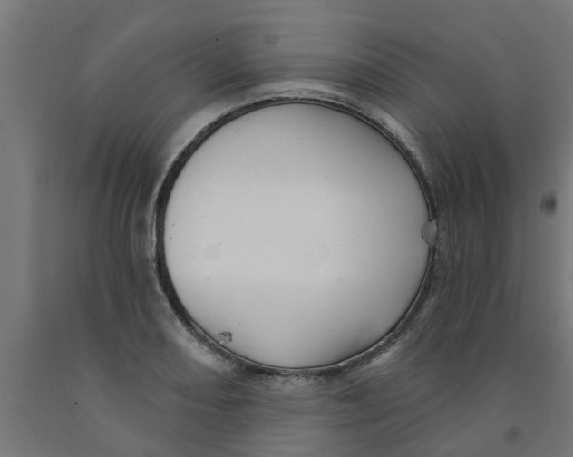 X0000090891082200708241956