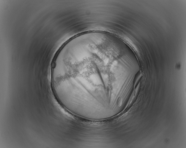 X0000090891084200708241956