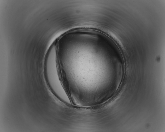 X0000090891085200708241956