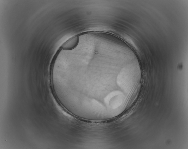 X0000090891087200708241956