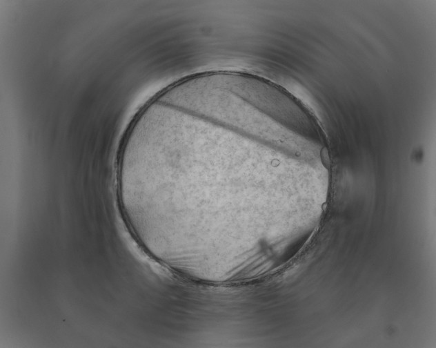 X0000090891088200708241956