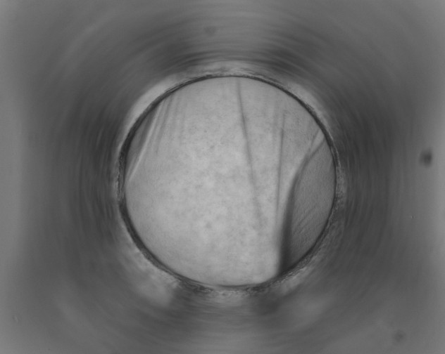 X0000090891090200708241956