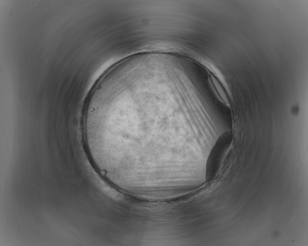 X0000090891091200708241956