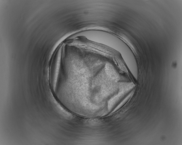 X0000090891092200708241956