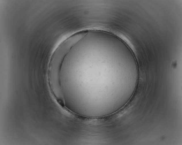 X0000090891093200708241956