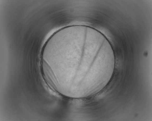 X0000090891094200708241956