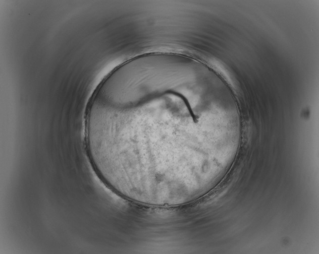 X0000090891095200708241956