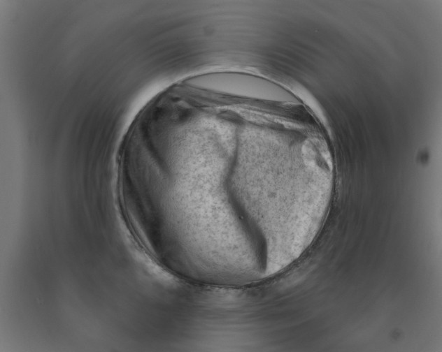 X0000090891096200708241956