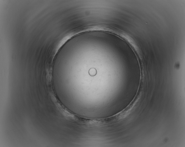 X0000090891097200708241956