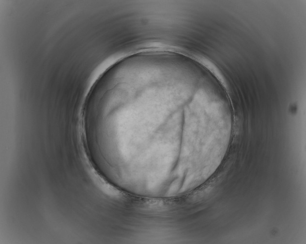 X0000090891098200708241956