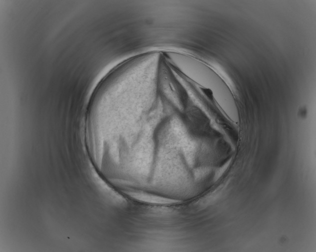 X0000090891100200708241956