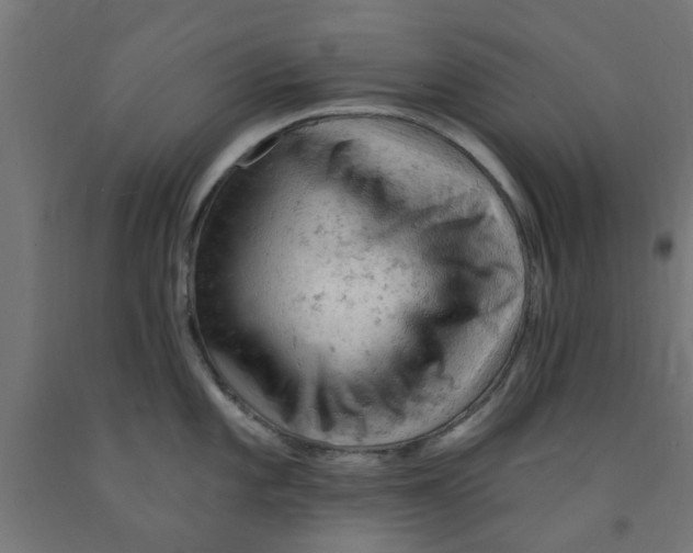 X0000090891101200708241956