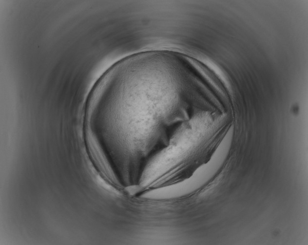 X0000090891102200708241956