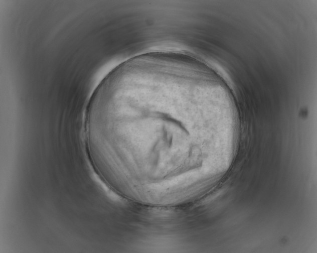 X0000090891103200708241956