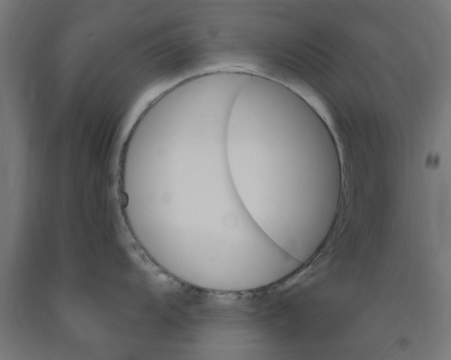 X0000090891104200708241956