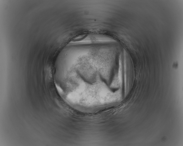 X0000090891106200708241955