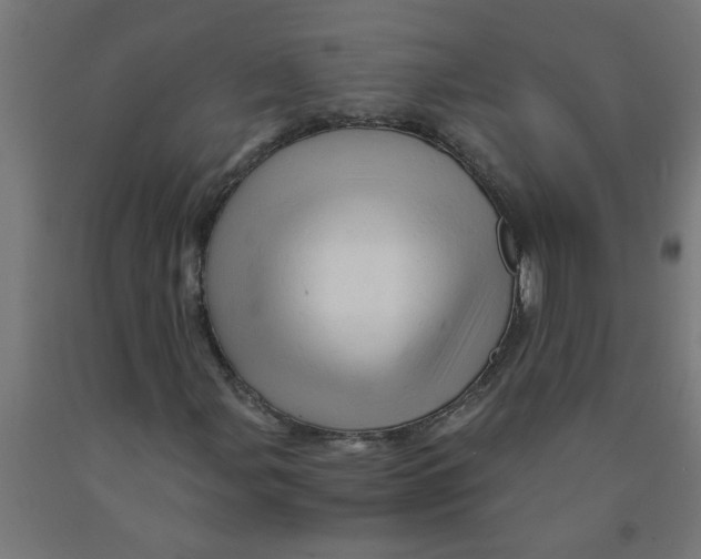 X0000090891107200708241955