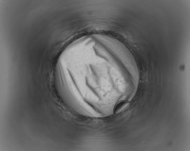 X0000090891109200708241955