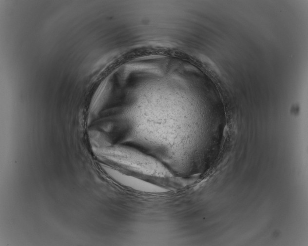 X0000090891110200708241955