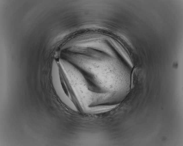 X0000090891111200708241956