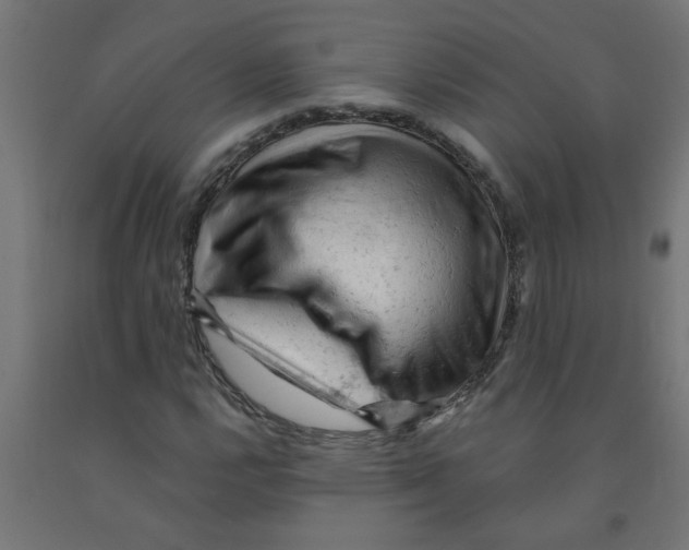 X0000090891112200708241956