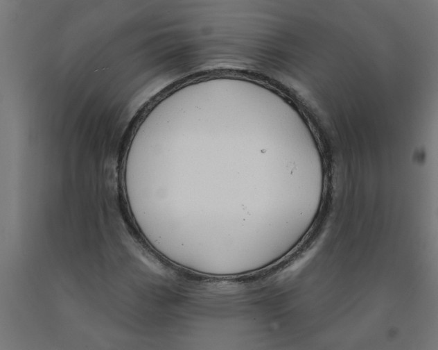 X0000090891113200708241956