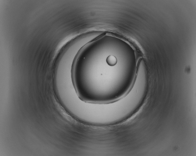 X0000090891114200708241956