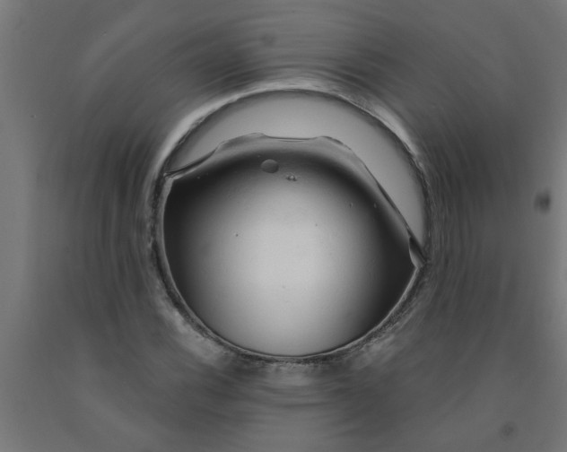 X0000090891116200708241956