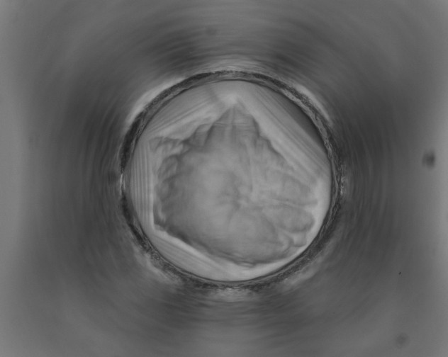 X0000090891117200708241956