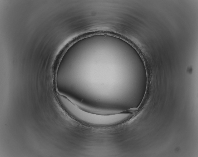 X0000090891118200708241956