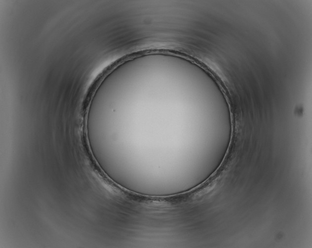 X0000090891119200708241956