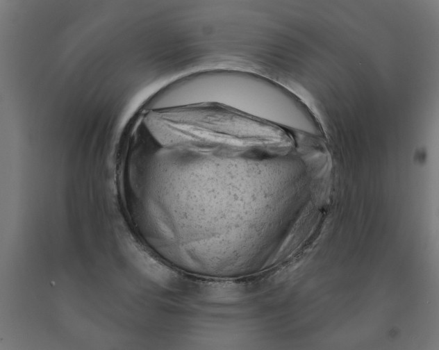 X0000090891120200708241956