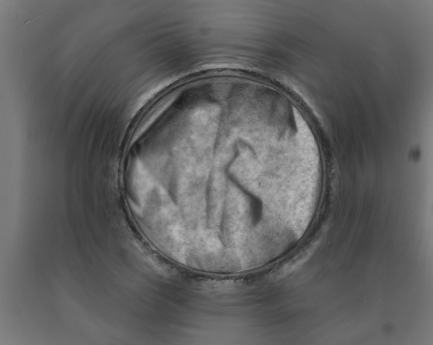 X0000090891121200708241956