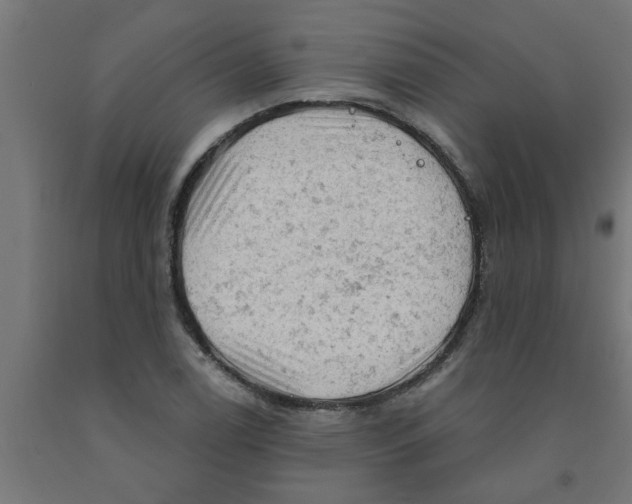 X0000090891122200708241956