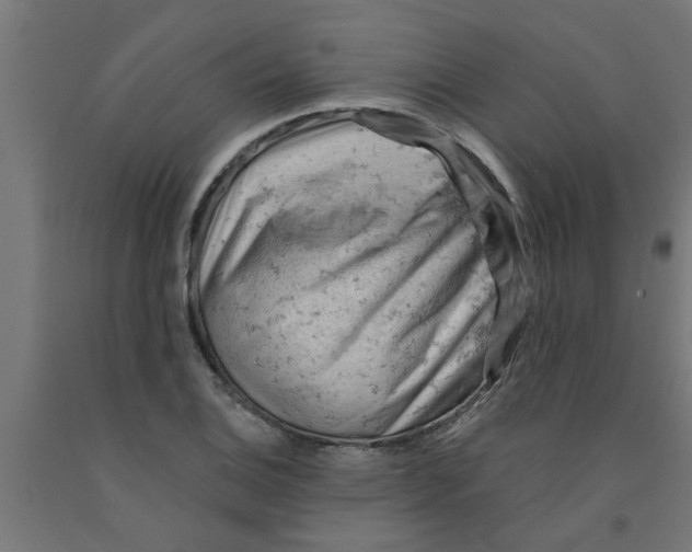 X0000090891124200708241956