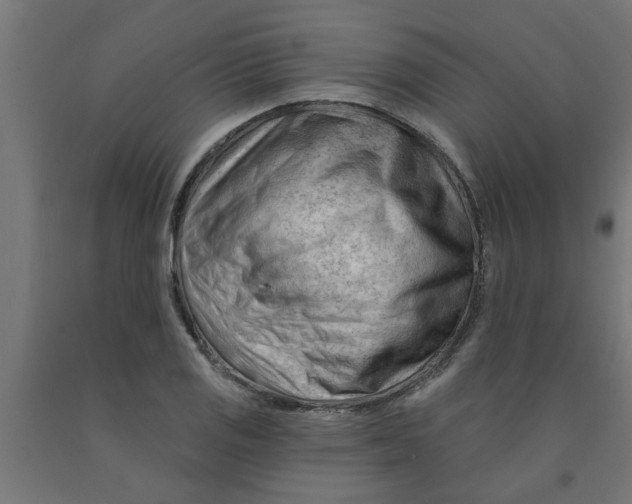 X0000090891125200708241956