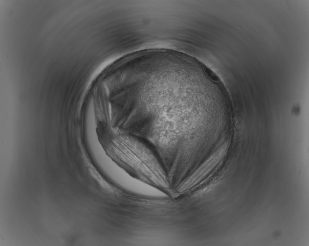 X0000090891127200708241956